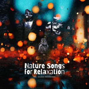 Nature Songs for Relaxation - Owl Sounds Recordings
