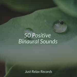50 Positive Binaural Sounds - Dog Music
