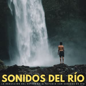 Sonidos Del Río: La Reducción Del Estrés En El Estudio Con Sonidos De Río - Sonidos De Agua