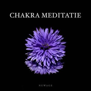 Chakra Meditatie - Panfluit Muziek - Yin And Yang