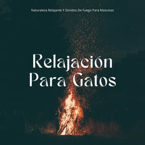 Relajación Para Gatos: Naturaleza Relajante Y Sonidos De Fuego Para Mascotas - Sonidos de fuego con ruido blanco burbujeante