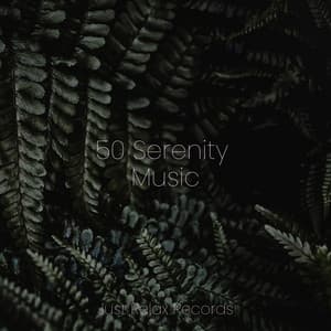 50 Serenity Music - Exam Study Classical Music