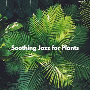 Soothing Jazz for Plants - Thiago Sanchez Jazz Quartet