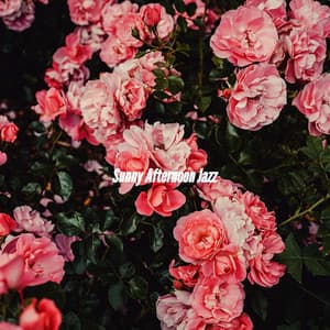 Sunny Afternoon Jazz - Coffee Shop Jazz Radio