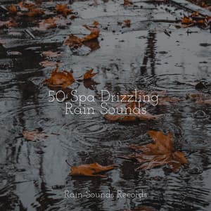 50 Spa Drizzling Rain Sounds - Binaural Beats Brainwave Entrainment