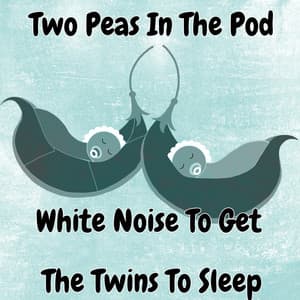 Two Peas In The Pod White Noise To Get The Twins To Sleep - White Noise Babies