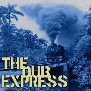 The Dub Express Vol 12 Platinum Edition - The Aggrovators