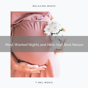1 0 1 Most Wanted Nights and Nice Rest Best Noises - Baby Sleep Spot