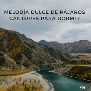 Melodía Dulce De Pájaros Cantores Para Dormir Vol. 1 - Sonidos De Aves