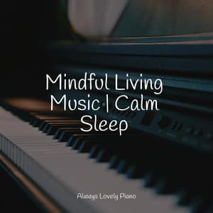 Mindful Living Music | Calm Sleep - Piano Prayer