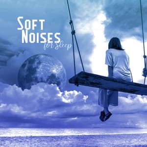 Soft Noises for Sleep: 2020 Fresh Ambient Deep Music Set for Sleep, Rest and Relaxation - Dream Moods Music Academy