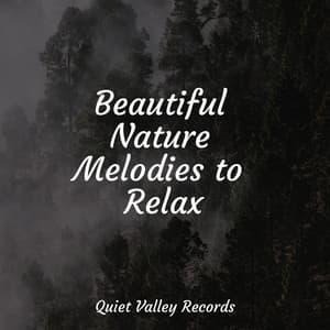 Beautiful Nature Melodies to Relax - Massagem Coleção de Músicas