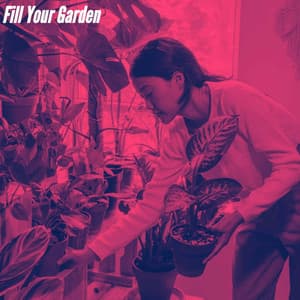 Fill Your Garden - Coffee Shop Lounge