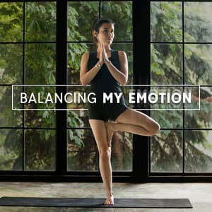 Balancing My Emotion - Meditation Zen Master