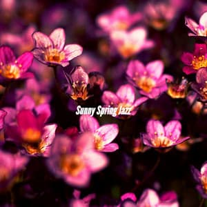 Sunny Spring Jazz - Happy Coffee Shop Music