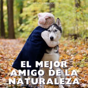 El Mejor Amigo De La Naturaleza: Momentos Melódicos - Grabaciones de la naturaleza LBE
