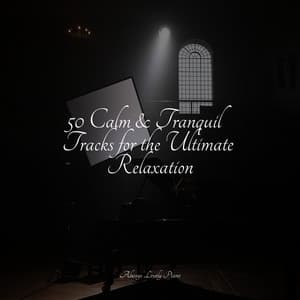 Tranquil Piano Tracks for Relaxation - Peaceful Piano