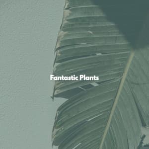 Fantastic Plants - Jazz & Study Vibes