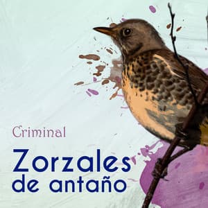 Zorzales de Antaño… Criminal - Maria Luisa Landin