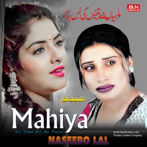 Super Hit Sad Songs Naseebo Lal Totta Dil Dukhi Songs - Naseebo Lal