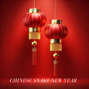Chinese Snake New Year - Healing Meditation Zone