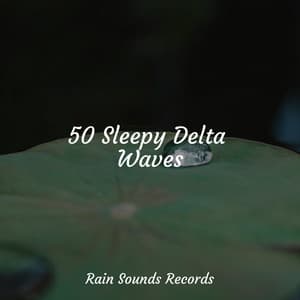 50 Sleepy Delta Waves - Rain For Deep Sleep