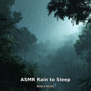 ASMR Rain to Sleep - Rain Sounds
