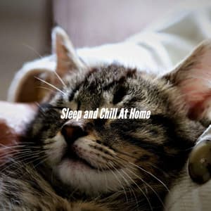 Sleep and Chill At Home - Happy Instrumental Jazz