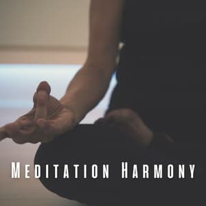 Meditation Harmony: Chill Music for Contemplation - AshwortH KRaft