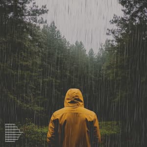 Nature Relaxation - Nature Label