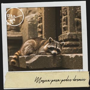 Música para poder dormir: Sueños melódicos - Relajacion