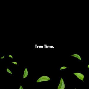 Tree Time. - Calm Study Sounds Orchestra