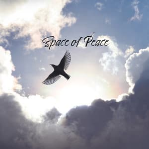 Space of Peace - Spiritual Prayer Music, Pure Relaxation, Mindfulness Meditation - Spiritual Healing Consort