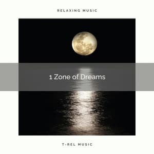 1 Zone of Dreams - Sleep Repeat
