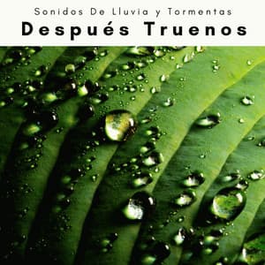 2022 Después Truenos - Sonidos De Lluvia y Tormentas