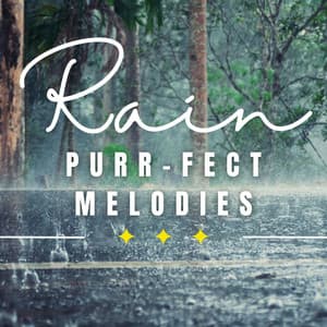 Rainy Day Whiskers: Serenity for Cats - Nature and Rain