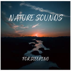 Nature Sounds for Sleeping - Sonido Del Bosque y Naturaleza