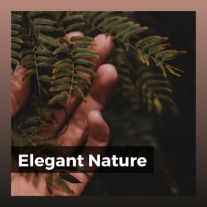 Elegant Nature - Nature Calm