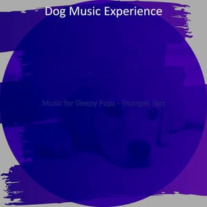 Music for Sleepy Pups - Trumpet Jazz - Dog Music Experience