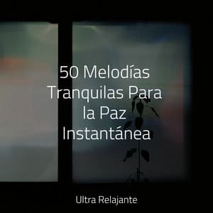 50 Melodías Tranquilas Para la Paz Instantánea - Massagem