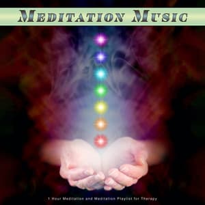 Meditation Music: 1 Hour Meditation and Meditation Playlist for Therapy - Meditation Music Solitude