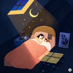 On days when I can't sleep, the magic that brings me to sleep - BGM Teacher