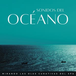 Sonidos Del Océano: Mirando Las Olas Curativas Del Spa - Océanos y Océanos