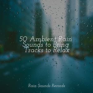 50 Ambient Rain Sounds to Bring Tracks to Relax - Rest & Relax Nature Sounds Artists