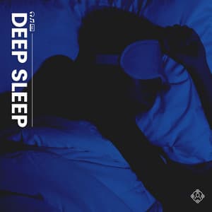 Deep Sleep - Insomnia Cure Maestro