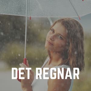 Det Regnar - Regnskur