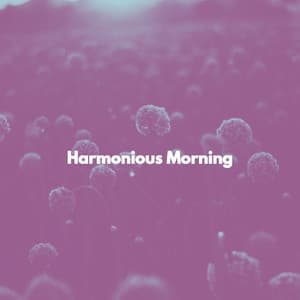 Harmonious Morning - New York Steakhouse Jazz