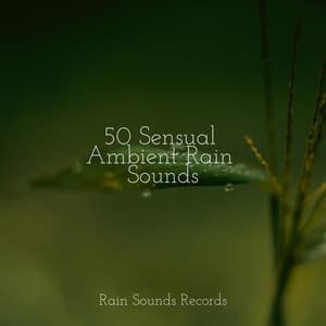 50 Sensual Ambient Rain Sounds - Relax Meditate Sleep