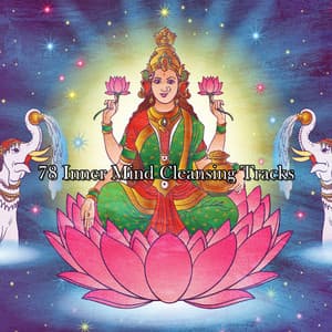 78 Inner Mind Cleansing Tracks - Rising Higher Meditation