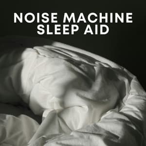 Noise Machine Sleep Aid - White Noise Collectors